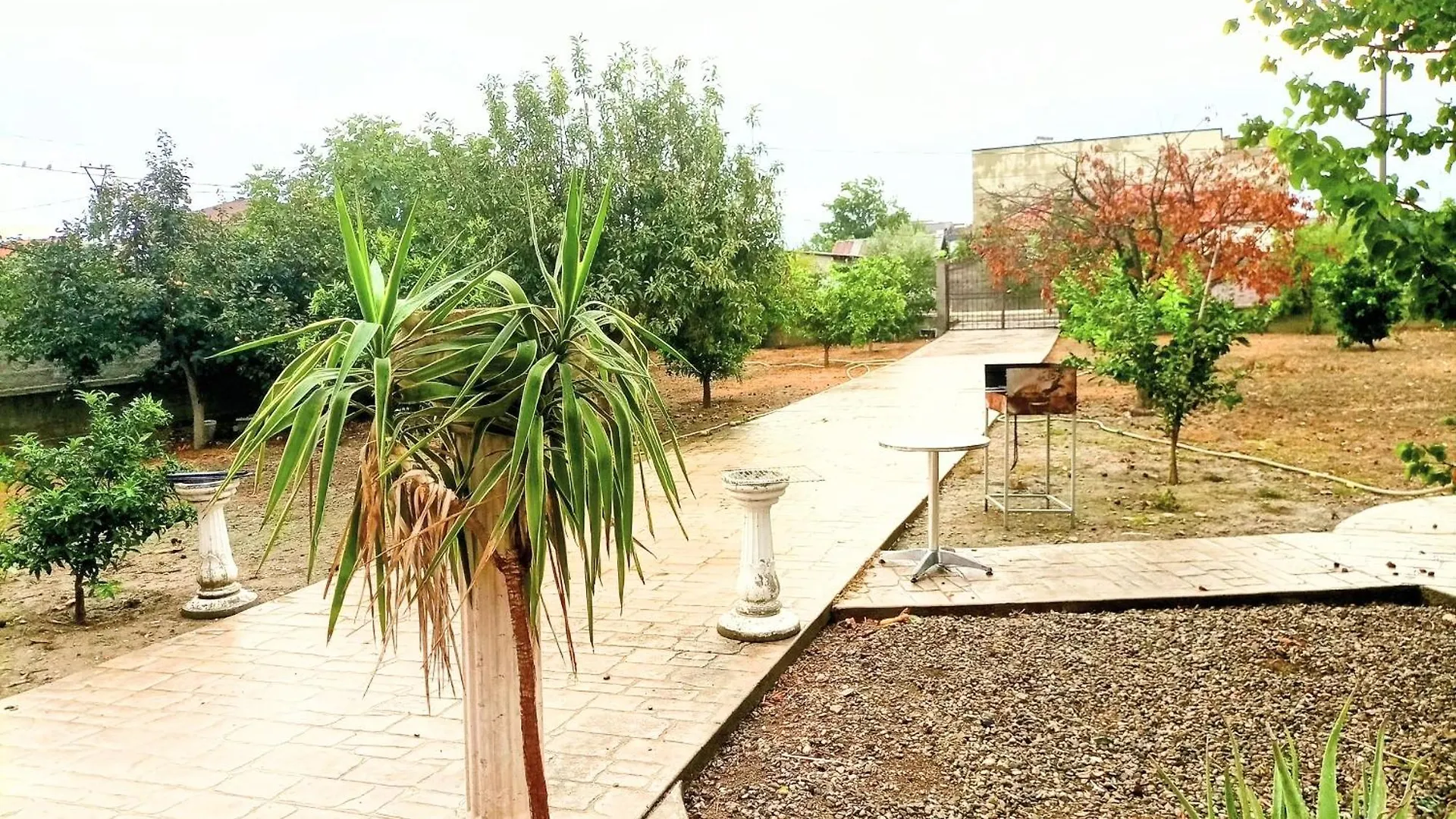 Villas Alisha For Rent Best View Xhafzotaj 0*,