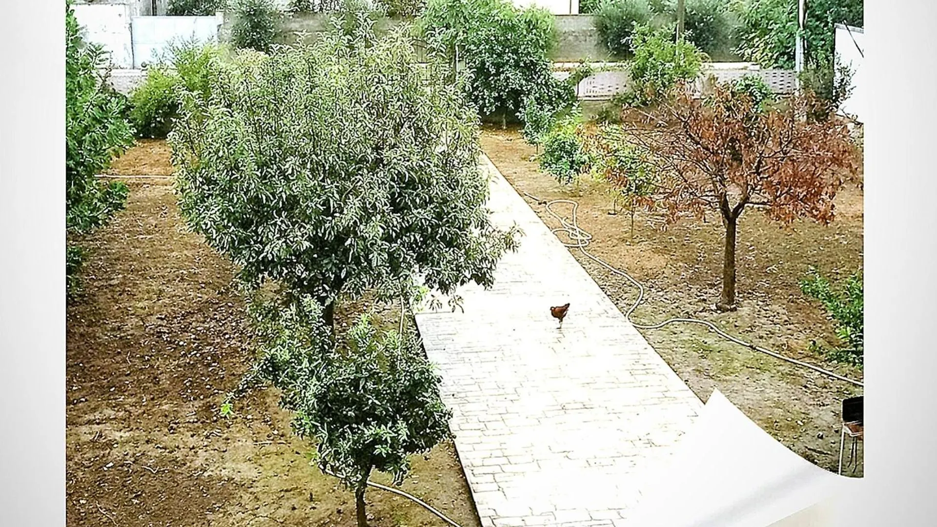 Apartamento Villas Alisha For Rent Best View Xhafzotaj